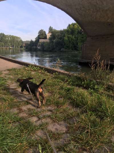 Dogorama Photo Challenge - Tierischer Urlaub-Beitrag-Bild