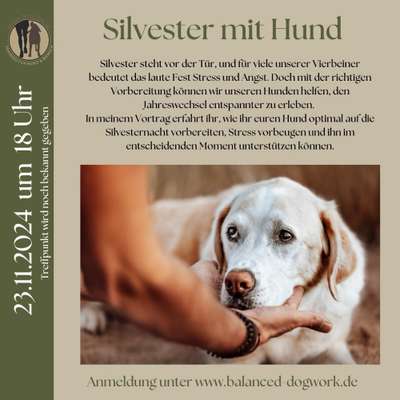 Giftköder-Silvester mit Hund-Bild