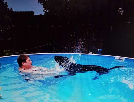 Dogorama-Monats-Challenge-Mai "Wasser"-Beitrag-Bild