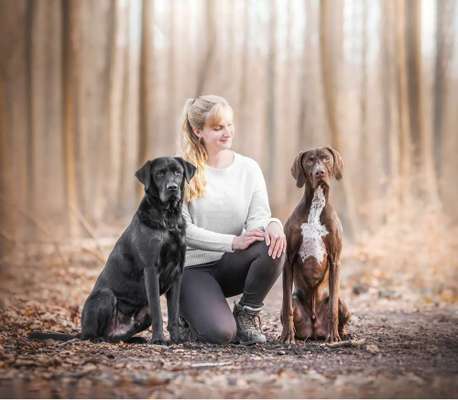 Hundeschulen-Hundeschule - Elena Reuter -Bild