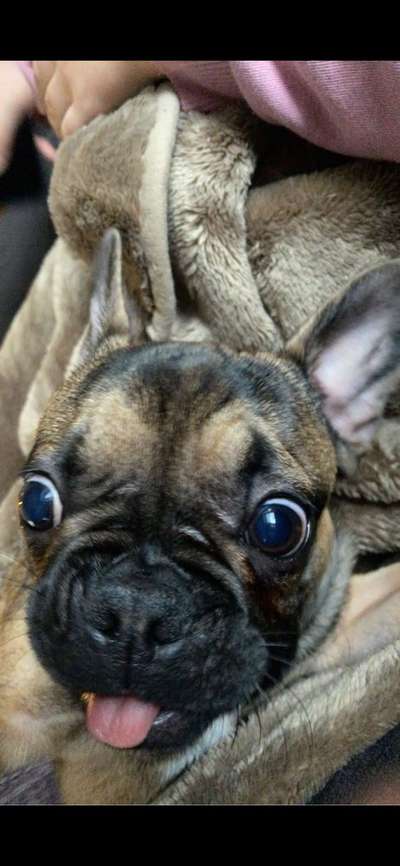 Her mit dem Grimassen-Beitrag-Bild