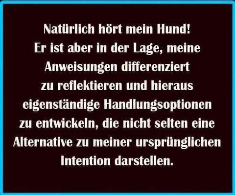 Hunde Memes-Beitrag-Bild