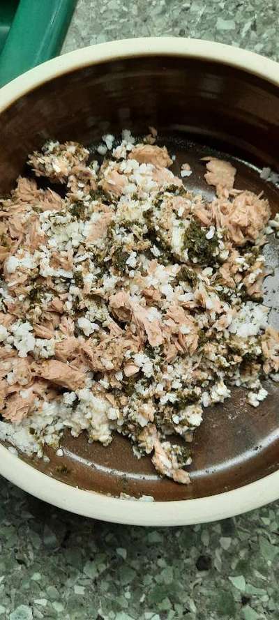 Zeigt her Eure Futternäpfe-Beitrag-Bild