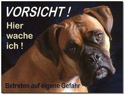 Hunde Memes-Beitrag-Bild