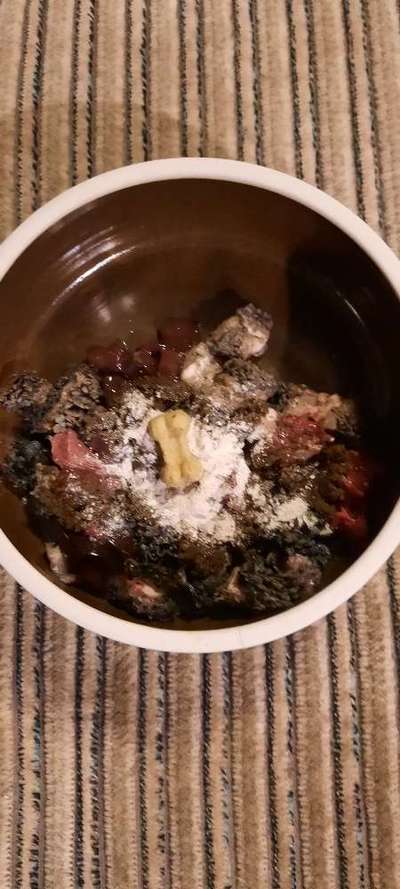 Zeigt her Eure Futternäpfe-Beitrag-Bild