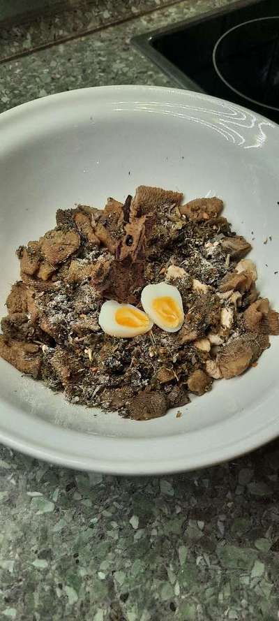 Zeigt her Eure Futternäpfe-Beitrag-Bild