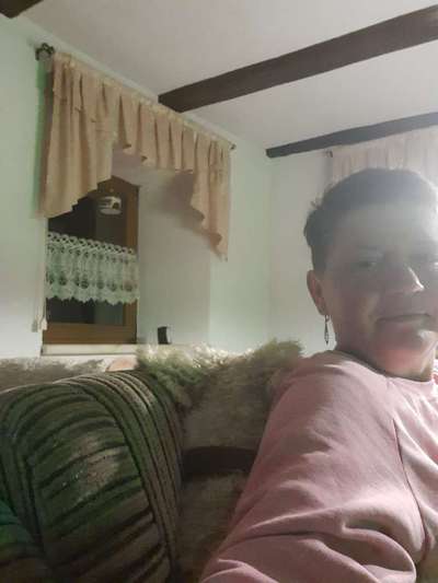 Hunde Memes-Beitrag-Bild