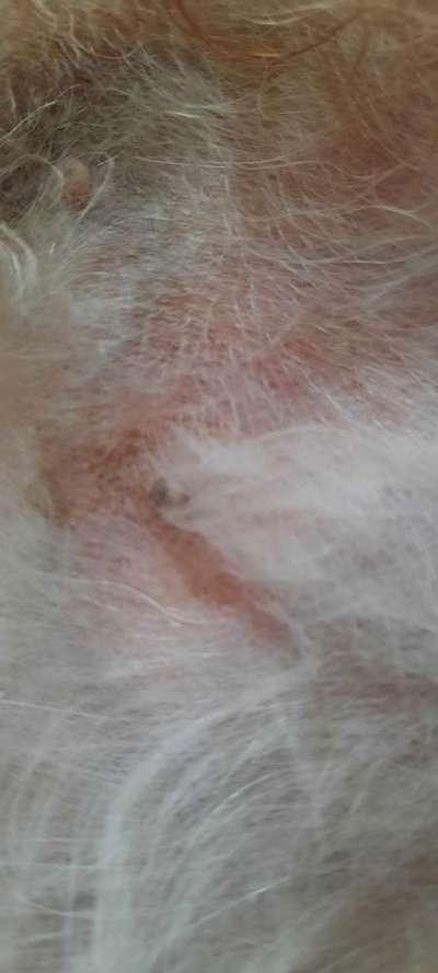 Was hat euch heute genervt?-Beitrag-Bild