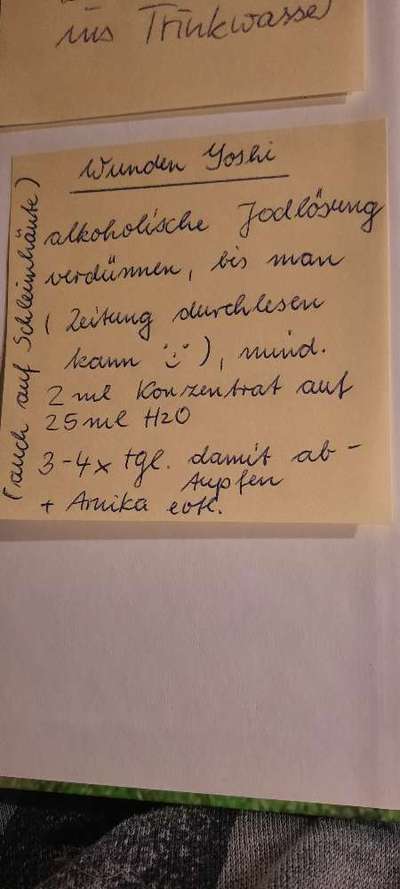 Schwellung an der Nase-Beitrag-Bild