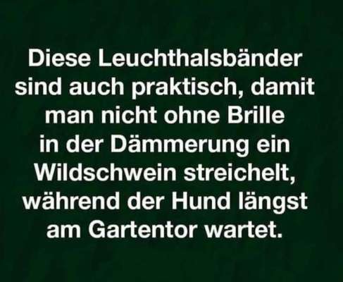 Hunde Memes-Beitrag-Bild