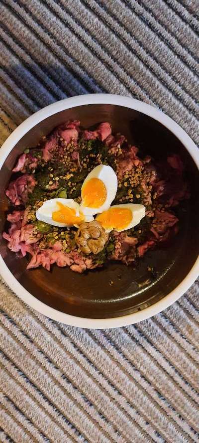 Zeigt her Eure Futternäpfe-Beitrag-Bild