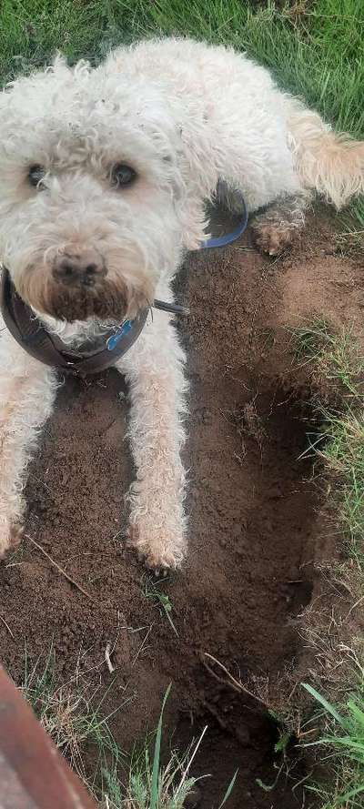 Freddys Kummerkasten-Beitrag-Bild