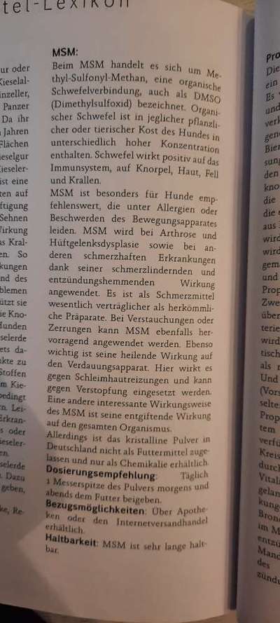 Nahrungsergänzung und ein paar Fragen zu Arthrose Hund-Beitrag-Bild