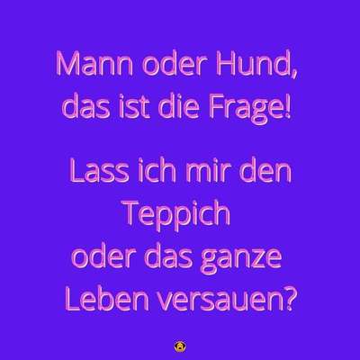 Hunde Memes-Beitrag-Bild