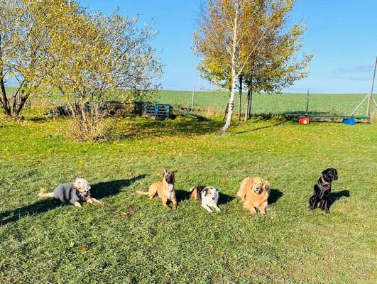 Was hat euch heute gefreut?-Beitrag-Bild