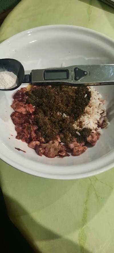 Zeigt her Eure Futternäpfe-Beitrag-Bild