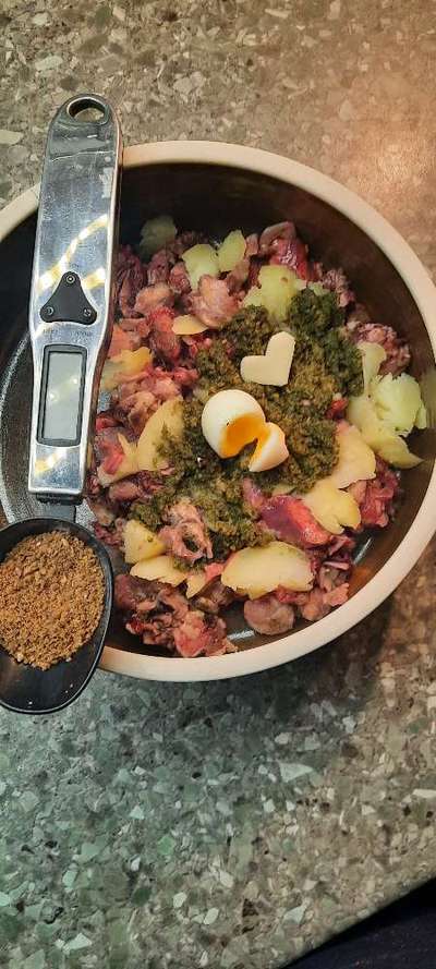 Zeigt her Eure Futternäpfe-Beitrag-Bild