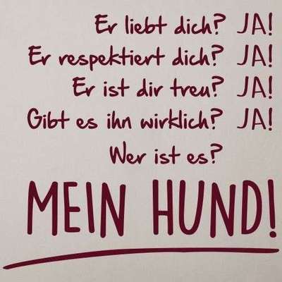 Hunde Memes-Beitrag-Bild