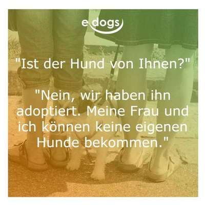 Lustige und schlagfertige "Kontersprüche" die dein Gegenüber im "Regen stehen lassen".....-Beitrag-Bild