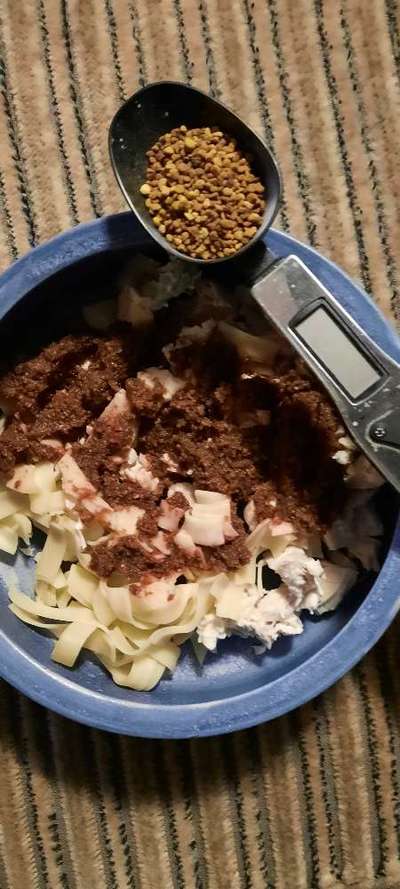 Zeigt her Eure Futternäpfe-Beitrag-Bild