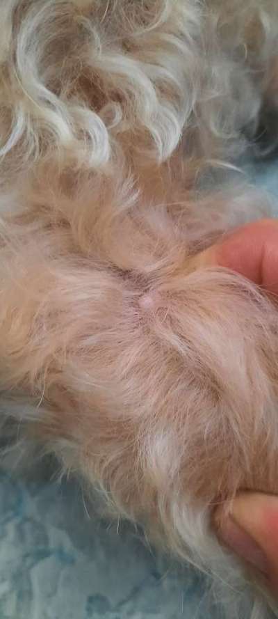 Huckel am 'Handgelenk'-Beitrag-Bild