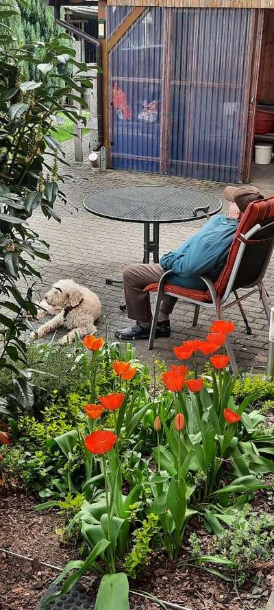 Was hat euch heute gefreut?-Beitrag-Bild