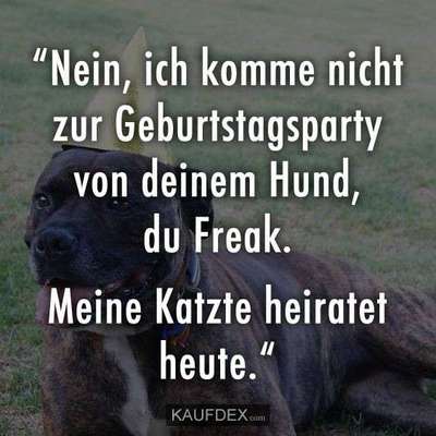 Hunde Memes-Beitrag-Bild