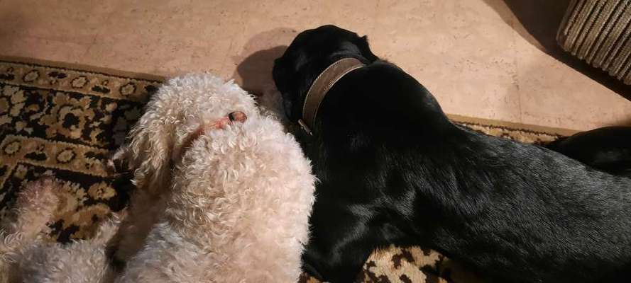 Was hat euch heute gefreut?-Beitrag-Bild