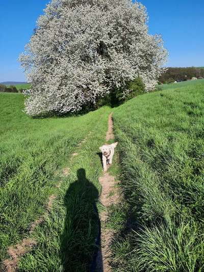 34. Farben-Challenge: Punkte - Punkte - Pünktchen-Beitrag-Bild