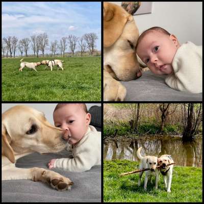 41. Handy Fotochallenge - Euer gemeinsames Hobby-Beitrag-Bild