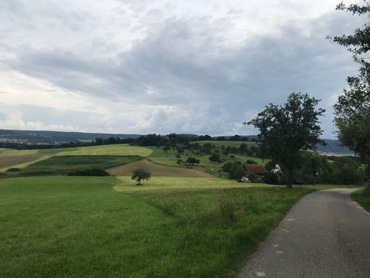 Hundeauslaufgebiet-Kolbenhof/Forst-Bild