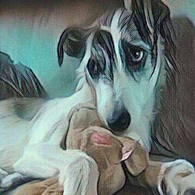 Photoshop und Co.-Beitrag-Bild