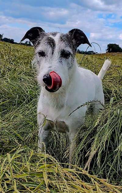 Zeigt eure Portraits-Beitrag-Bild