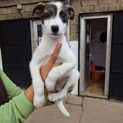 Lieblingsbild-Beitrag-Bild