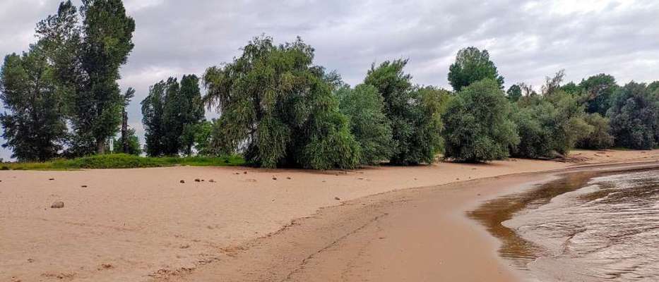 Hundeauslaufgebiet-Rheinwiesen-Bild