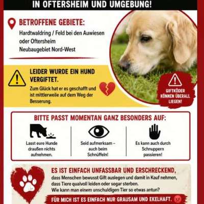 Giftköder-Möglicherweise Giftköder-Bild