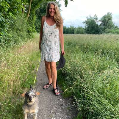 Hundetreffen-Gassirunde nach Feierabend-Profilbild