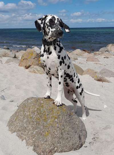 23. Farben / Fotochallenge - Türkis --Beitrag-Bild