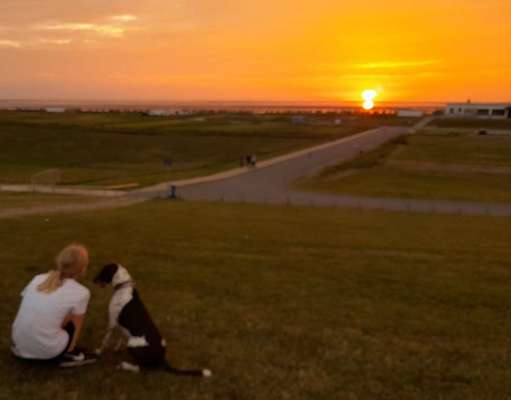 Sonnenaufgänge oder - untergänge-Beitrag-Bild