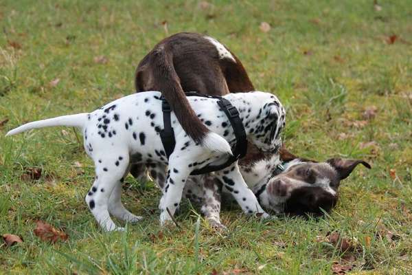 "Die eingefangene Magie des Augenblicks"-Beitrag-Bild
