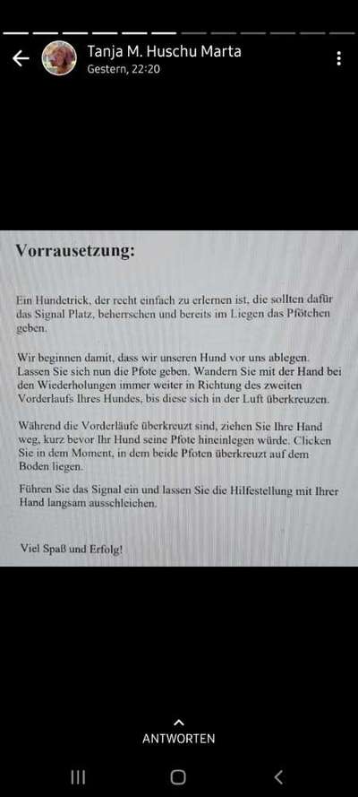 Indoor Beschäftigung-Beitrag-Bild