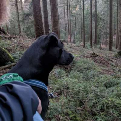 "Wege zur Freundschaft" (Ulli Reichmann)-Beitrag-Bild