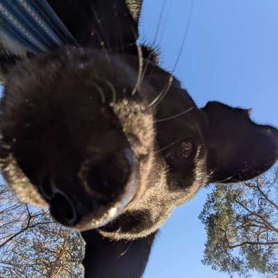 Was hat euch heute gefreut?-Beitrag-Bild