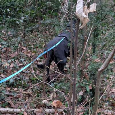 "Wege zur Freundschaft" (Ulli Reichmann)-Beitrag-Bild