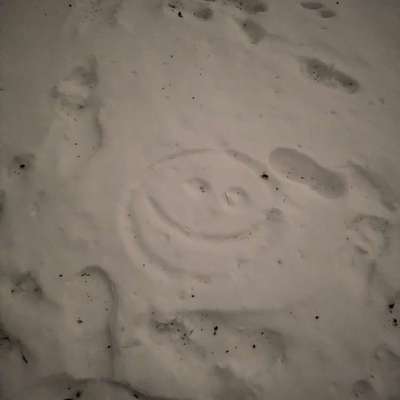 Was hat euch heute gefreut?-Beitrag-Bild