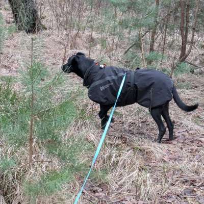 "Wege zur Freundschaft" (Ulli Reichmann)-Beitrag-Bild