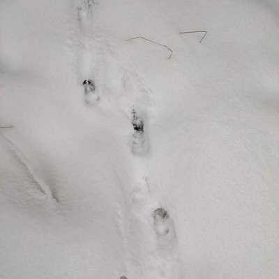 "Wege zur Freundschaft" (Ulli Reichmann)-Beitrag-Bild