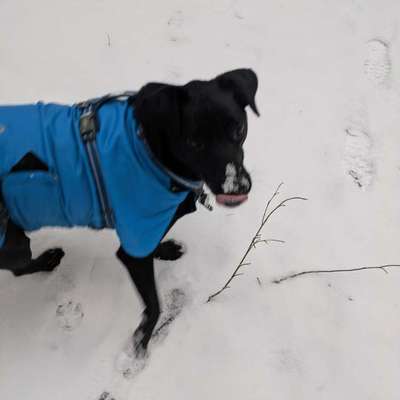 "Wege zur Freundschaft" (Ulli Reichmann)-Beitrag-Bild