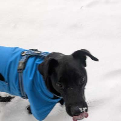 "Wege zur Freundschaft" (Ulli Reichmann)-Beitrag-Bild