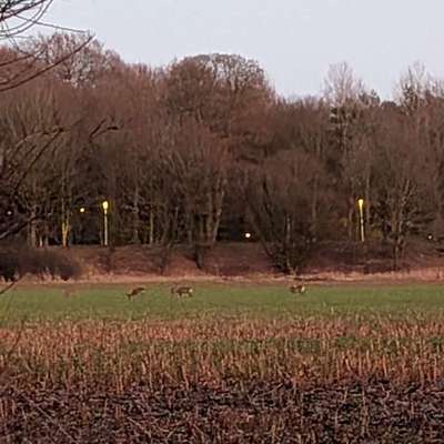 "Wege zur Freundschaft" (Ulli Reichmann)-Beitrag-Bild